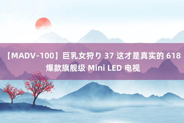 【MADV-100】巨乳女狩り 37 这才是真实的 618 爆款旗舰级 Mini LED 电视