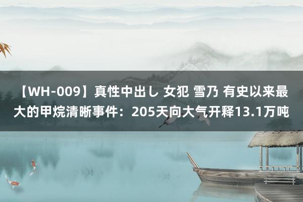 【WH-009】真性中出し 女犯 雪乃 有史以来最大的甲烷清晰事件：205天向大气开释13.1万吨