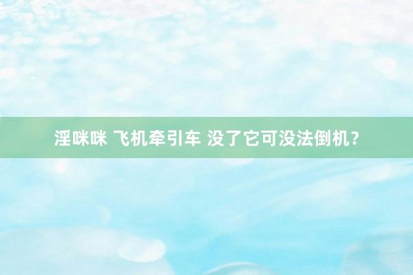 淫咪咪 飞机牵引车 没了它可没法倒机？