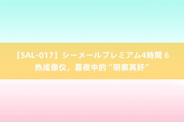 【SAL-017】シーメールプレミアム4時間 6 热成像仪，暮夜中的“明察其奸”