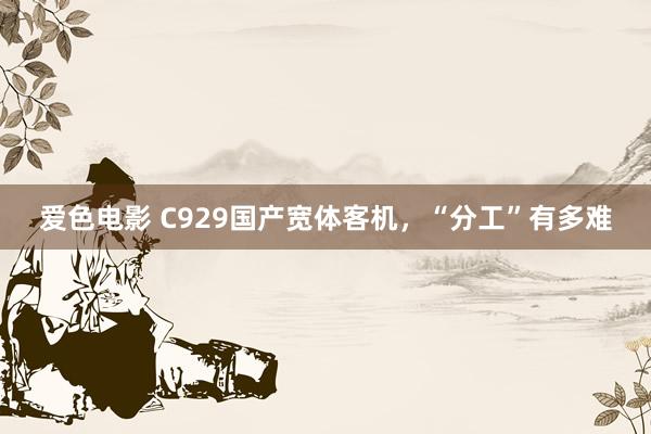 爱色电影 C929国产宽体客机，“分工”有多难