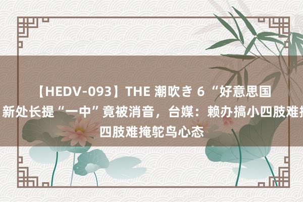 【HEDV-093】THE 潮吹き 6 “好意思国在台协会”新处长提“一中”竟被消音，台媒：赖办搞小四肢难掩鸵鸟心态