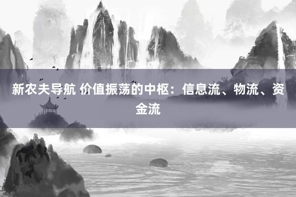 新农夫导航 价值振荡的中枢：信息流、物流、资金流