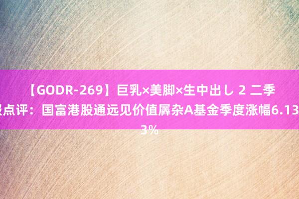 【GODR-269】巨乳×美脚×生中出し 2 二季报点评：国富港股通远见价值羼杂A基金季度涨幅6.13%