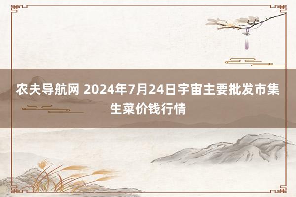 农夫导航网 2024年7月24日宇宙主要批发市集生菜价钱行情