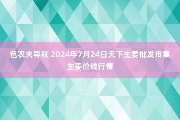 色农夫导航 2024年7月24日天下主要批发市集生姜价钱行情