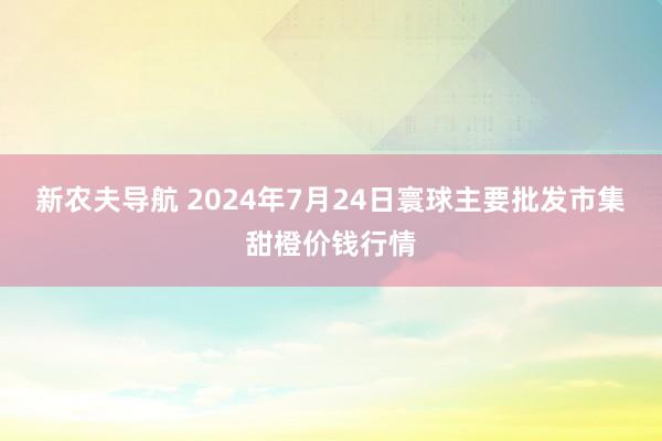 新农夫导航 2024年7月24日寰球主要批发市集甜橙价钱行情