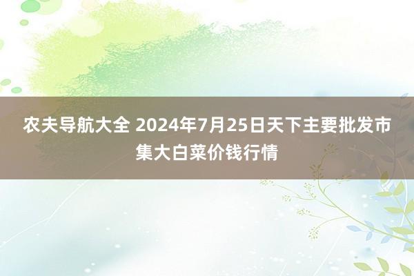 农夫导航大全 2024年7月25日天下主要批发市集大白菜价钱行情