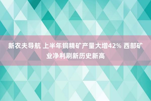 新农夫导航 上半年铜精矿产量大增42% 西部矿业净利刷新历史新高