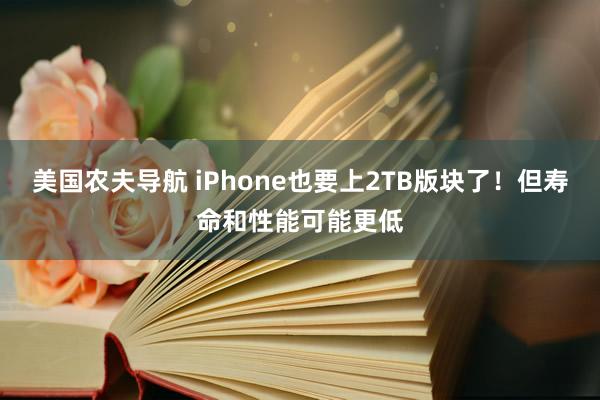 美国农夫导航 iPhone也要上2TB版块了！但寿命和性能可能更低