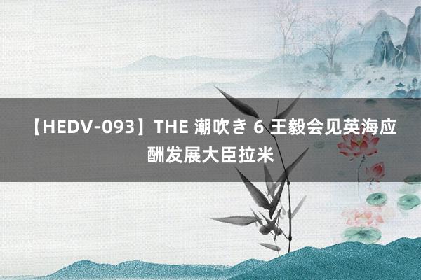 【HEDV-093】THE 潮吹き 6 王毅会见英海应酬发展大臣拉米