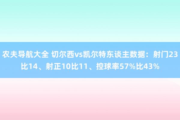 农夫导航大全 切尔西vs凯尔特东谈主数据：射门23比14、射正10比11、控球率57%比43%