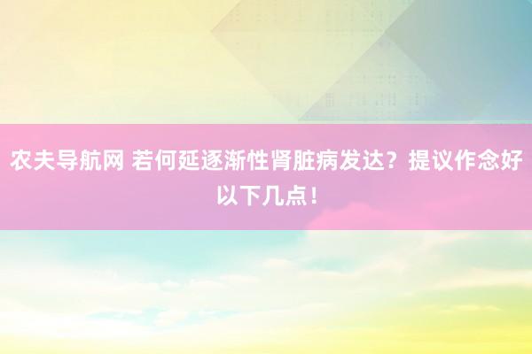 农夫导航网 若何延逐渐性肾脏病发达？提议作念好以下几点！