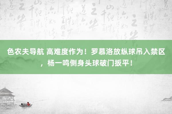 色农夫导航 高难度作为！罗慕洛放纵球吊入禁区，杨一鸣侧身头球破门扳平！