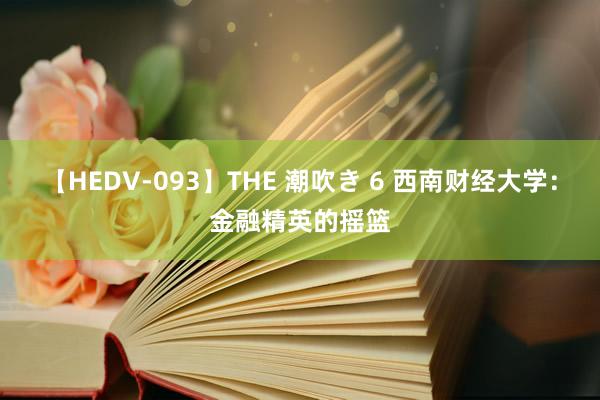 【HEDV-093】THE 潮吹き 6 西南财经大学：金融精英的摇篮