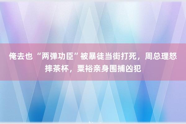 俺去也 “两弹功臣”被暴徒当街打死，周总理怒摔茶杯，粟裕亲身围捕凶犯