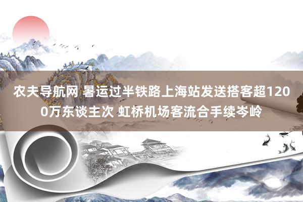 农夫导航网 暑运过半铁路上海站发送搭客超1200万东谈主次 虹桥机场客流合手续岑岭