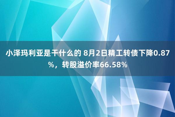 小泽玛利亚是干什么的 8月2日精工转债下降0.87%，转股溢价率66.58%