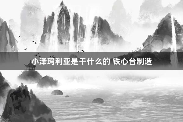 小泽玛利亚是干什么的 铁心台制造