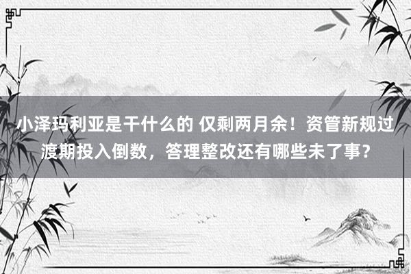 小泽玛利亚是干什么的 仅剩两月余！资管新规过渡期投入倒数，答理整改还有哪些未了事？