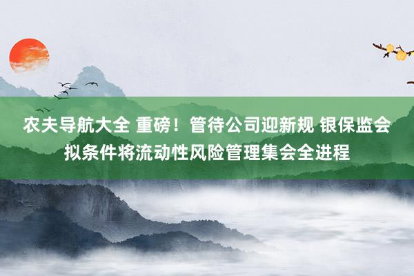 农夫导航大全 重磅！管待公司迎新规 银保监会拟条件将流动性风险管理集会全进程