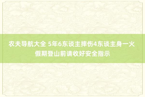 农夫导航大全 5年6东谈主摔伤4东谈主身一火 假期登山前请收好安全指示