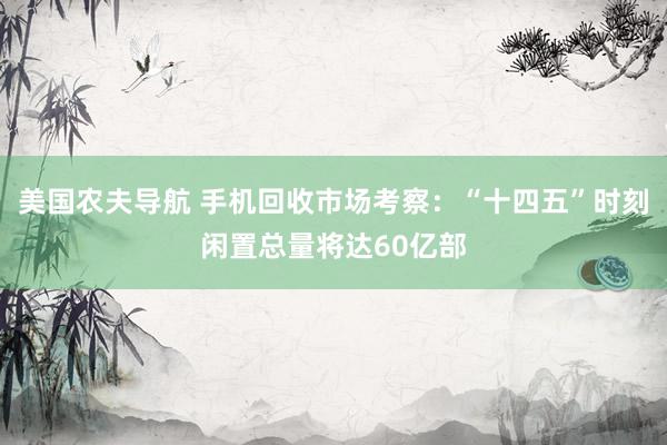 美国农夫导航 手机回收市场考察：“十四五”时刻闲置总量将达60亿部