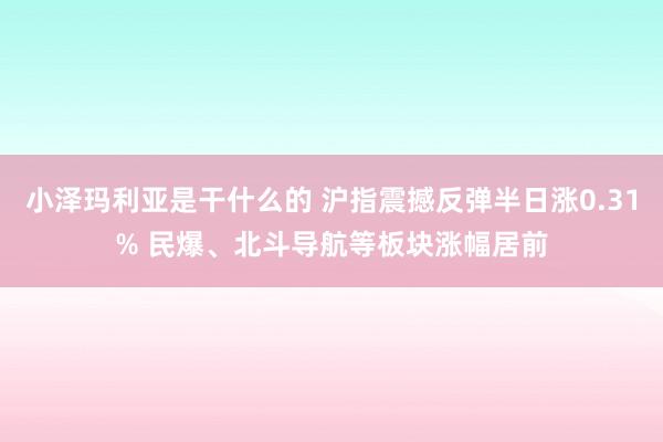 小泽玛利亚是干什么的 沪指震撼反弹半日涨0.31% 民爆、北斗导航等板块涨幅居前