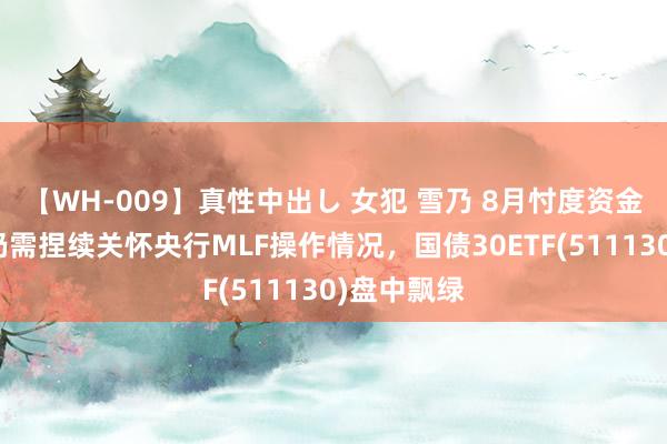 【WH-009】真性中出し 女犯 雪乃 8月忖度资金面偏松，仍需捏续关怀央行MLF操作情况，国债30ETF(511130)盘中飘绿