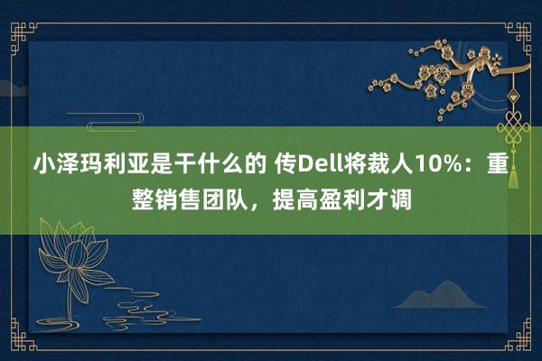 小泽玛利亚是干什么的 传Dell将裁人10%：重整销售团队，提高盈利才调