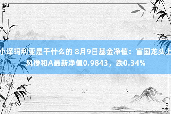 小泽玛利亚是干什么的 8月9日基金净值：富国龙头上风搀和A最新净值0.9843，跌0.34%