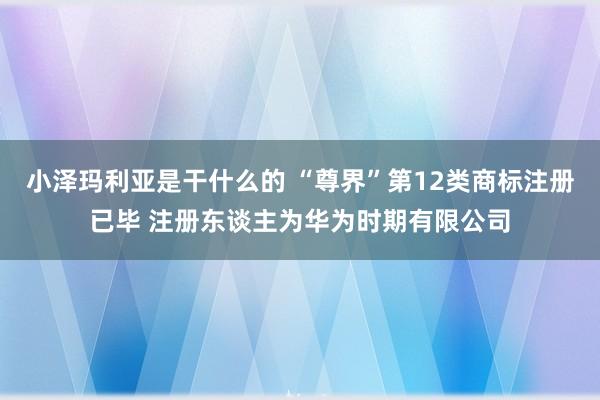 小泽玛利亚是干什么的 “尊界”第12类商标注册已毕 注册东谈主为华为时期有限公司