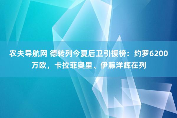 农夫导航网 德转列今夏后卫引援榜：约罗6200万欧，卡拉菲奥里、伊藤洋辉在列