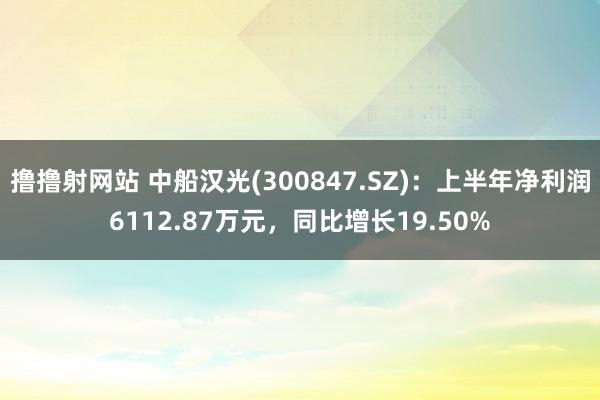 撸撸射网站 中船汉光(300847.SZ)：上半年净利润6112.87万元，同比增长19.50%