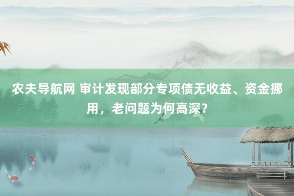 农夫导航网 审计发现部分专项债无收益、资金挪用，老问题为何高深？