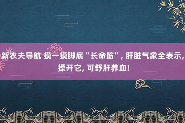 新农夫导航 摸一摸脚底“长命筋”， 肝脏气象全表示， 揉开它， 可舒肝养血!