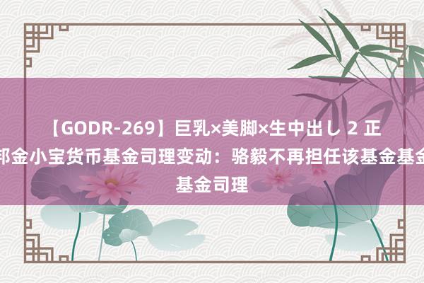 【GODR-269】巨乳×美脚×生中出し 2 正大富邦金小宝货币基金司理变动：骆毅不再担任该基金基金司理