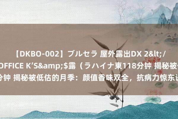 【DKBO-002】ブルセラ 屋外露出DX 2</a>2006-03-16OFFICE K’S&$露（ラハイナ東118分钟 揭秘被低估的月季：颜值香味双全，抗病力惊东谈主，为何鲜为东谈主知？