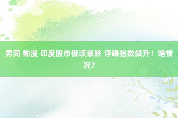 男同 動漫 印度股市俄顷暴跌 浮躁指数飙升！啥情况？