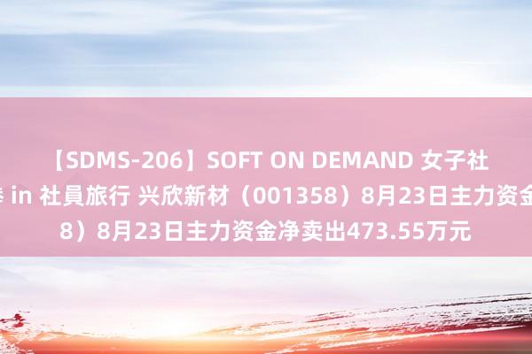 【SDMS-206】SOFT ON DEMAND 女子社員スペシャル野球拳 in 社員旅行 兴欣新材（001358）8月23日主力资金净卖出473.55万元