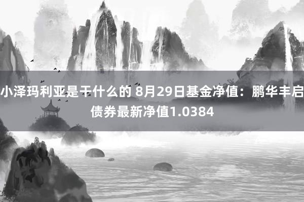 小泽玛利亚是干什么的 8月29日基金净值：鹏华丰启债券最新净值1.0384