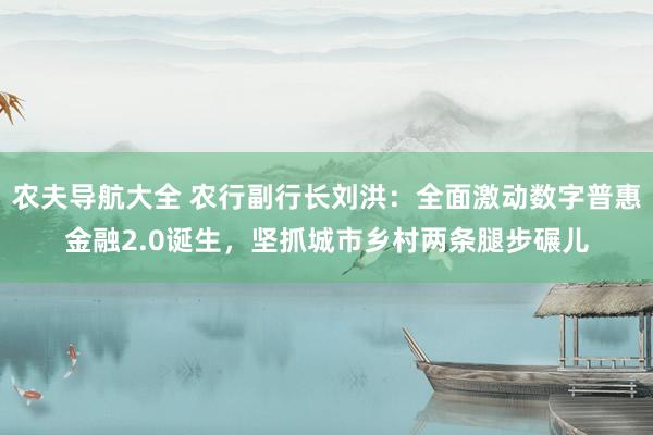 农夫导航大全 农行副行长刘洪：全面激动数字普惠金融2.0诞生，坚抓城市乡村两条腿步碾儿