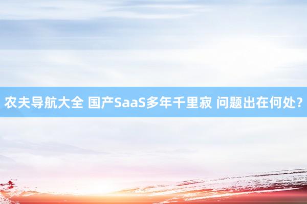 农夫导航大全 国产SaaS多年千里寂 问题出在何处？