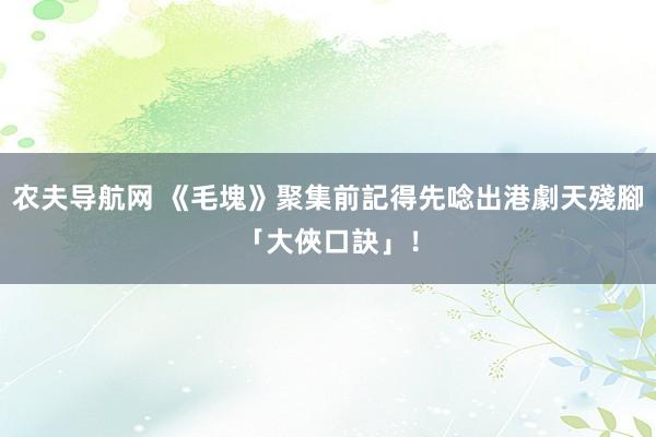 农夫导航网 《毛塊》聚集前記得先唸出港劇天殘腳「大俠口訣」！