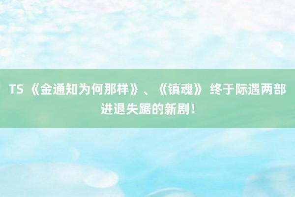 TS 《金通知为何那样》、《镇魂》 终于际遇两部进退失踞的新剧！