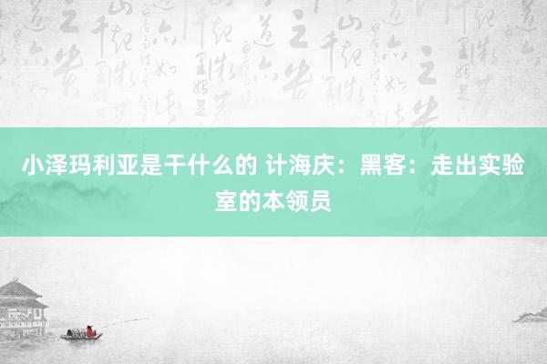 小泽玛利亚是干什么的 计海庆：黑客：走出实验室的本领员