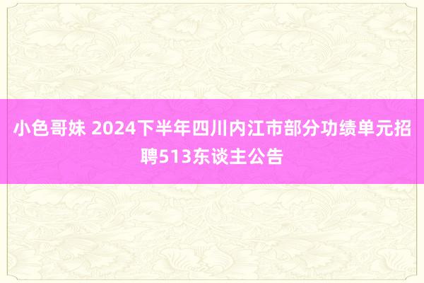 小色哥妹 2024下半年四川内江市部分功绩单元招聘513东谈主公告